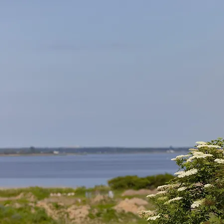 Dom Muschel I Mewa By Renters * Zastan